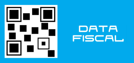 Data Fiscal AFIP